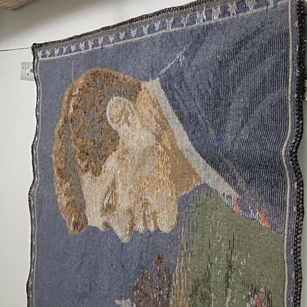 Vintage JFK Co Collectors Tapestry American Flag USA Capitol Velvet Tapestry - Picture 8 of 12